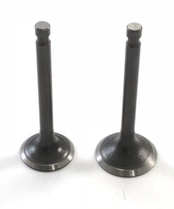 Kleppenset 72cc 6 volt  ( in + uitlaat )